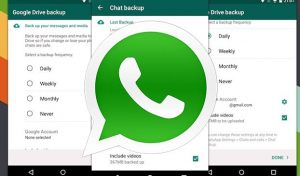 whatsapp sohbet