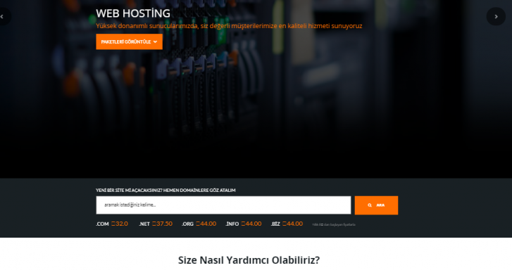 ayyildizhosting.com